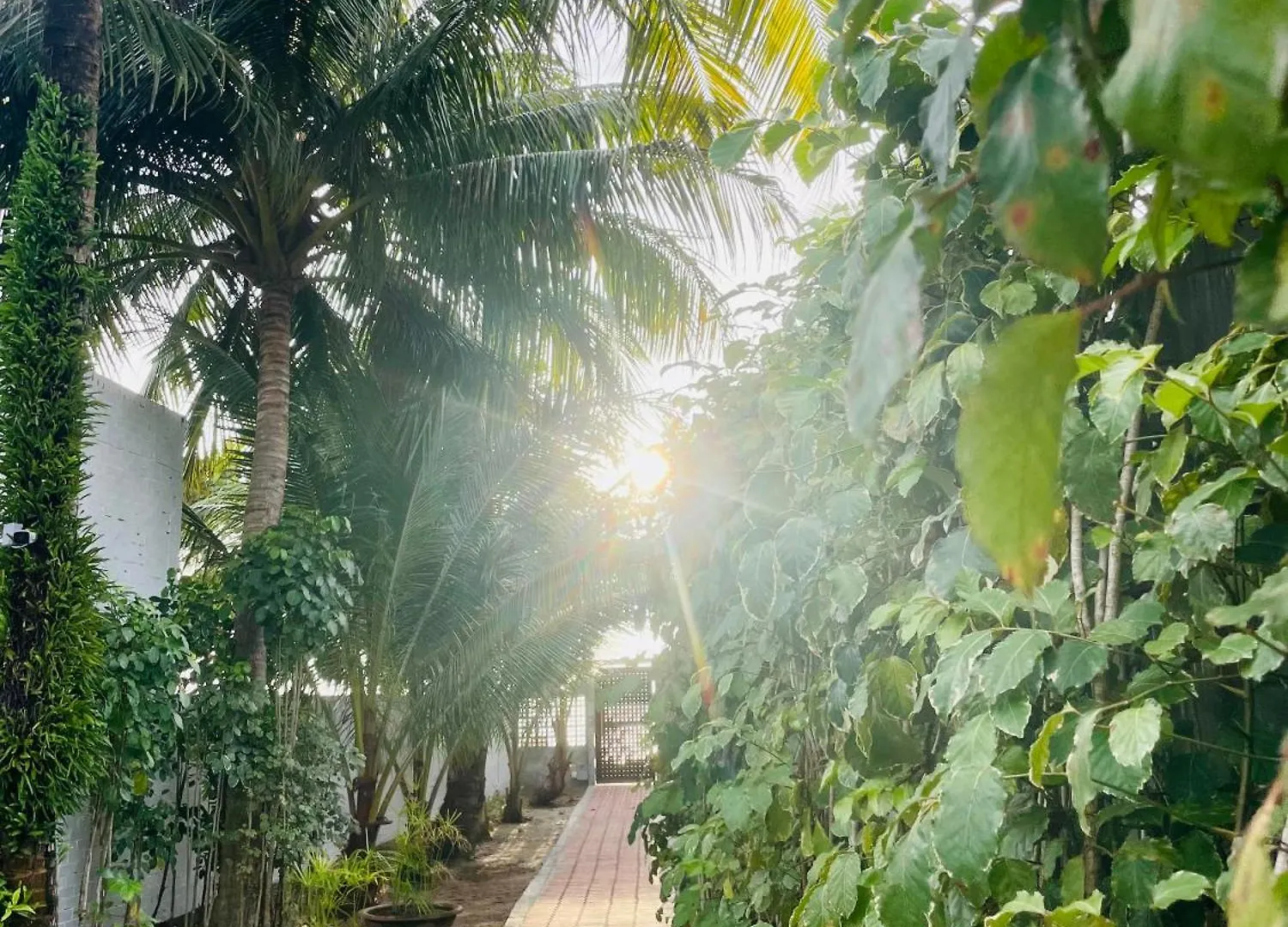Attitude Resort Langkawi 판타이체낭 0*,  말레이시아